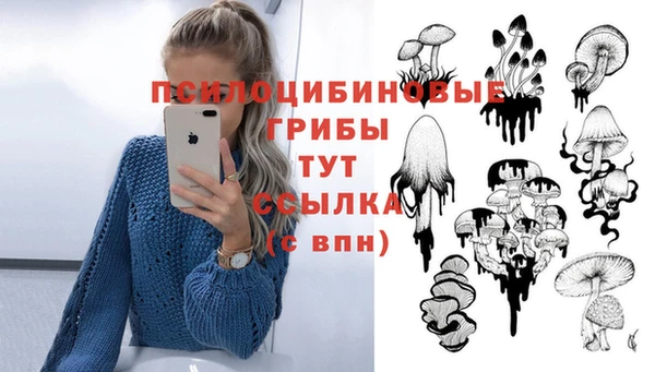 прущая мука Баксан