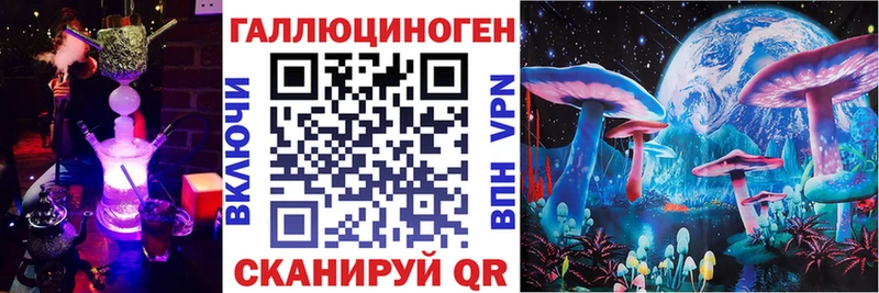 Купить где  Тутаев  Псилоцибиновые грибы Psilocybine cubensis 